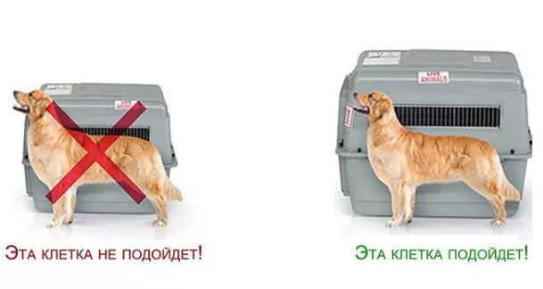 доставка животных3.png Клетки для животных
